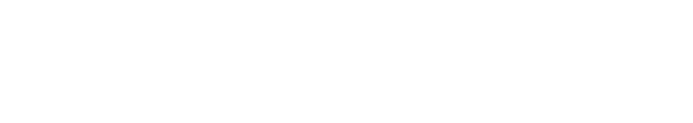Large White Transparent.png